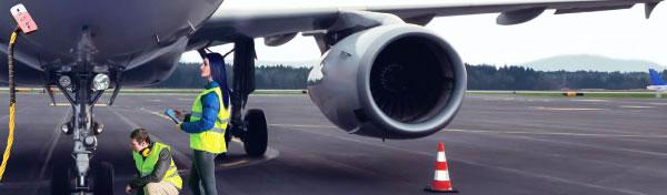 Airport ground staff handling air cargo operations